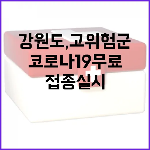 강원도, 고위험군 코로나19 무료접종 실시