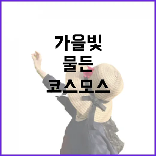 가을빛 물든 석곡 코스모스 음악회 현장