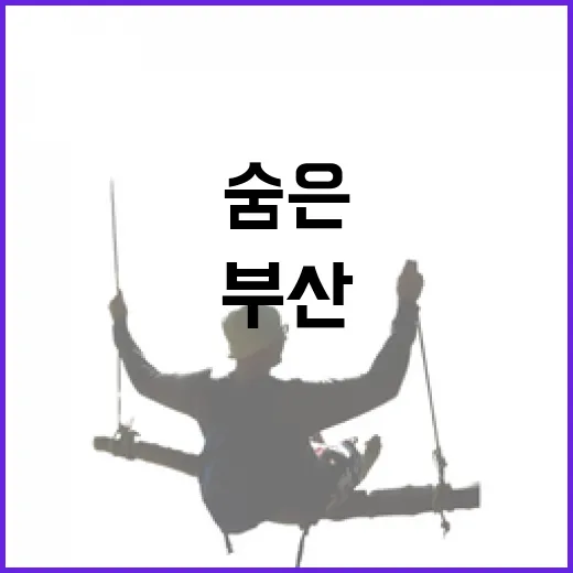 영도, 부산 바다의 숨은 보물섬