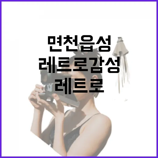 면천읍성, 역사와 레트로 감성의 만남
