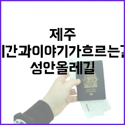제주 성안 올레길, 시간과 이야기가 흐르는 길