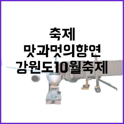 강원도 10월 축제 맛과 멋의 향연