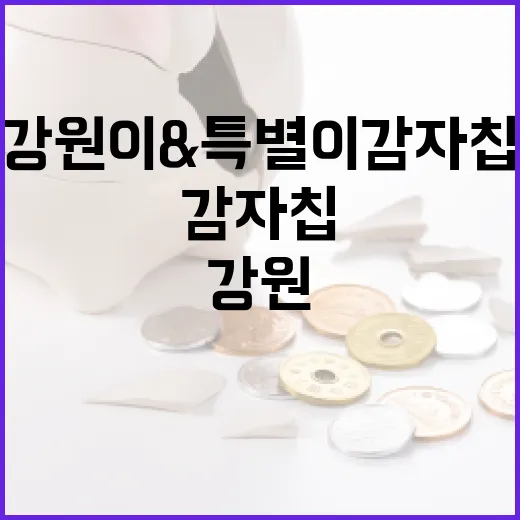 강원이특별이 감자칩 전국 상륙