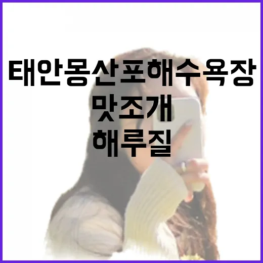 태안 몽산포 해수욕장 맛조개 해루질 체험