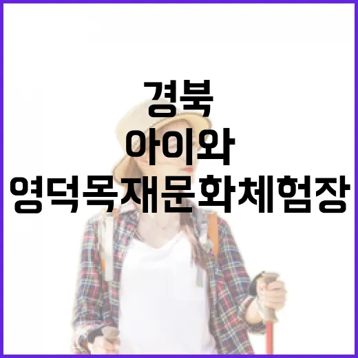 경북 영덕목재문화체험장 아이와 함께 즐기기