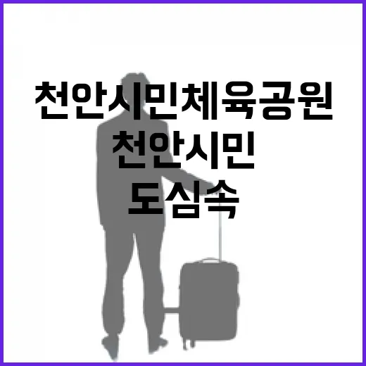 천안 시민체육공원, 도심 속 가을 쉼터