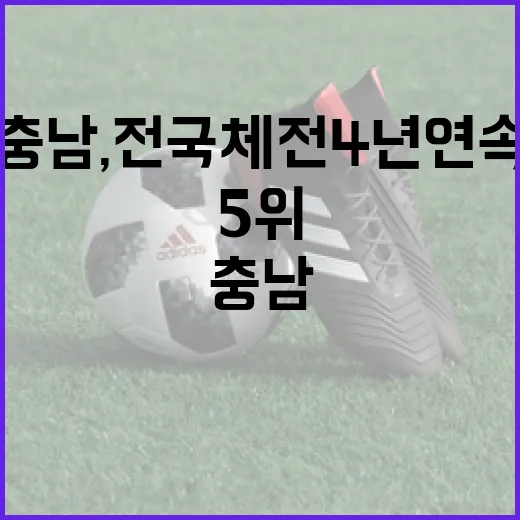 충남, 전국체전 4년 연속 5위 금메달 신기록