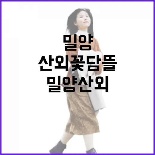 밀양 산외 꽃담뜰 가을빛 풍경