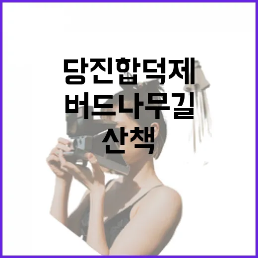 당진 합덕제 버드나무길 가을 산책