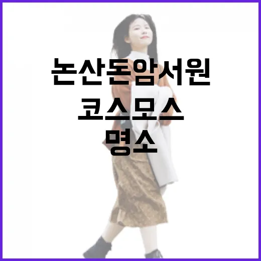 논산 돈암서원 코스모스 명소
