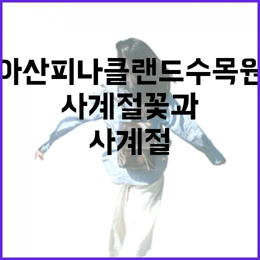 아산 피나클랜드 수목원, 사계절 꽃과 문화의 향연