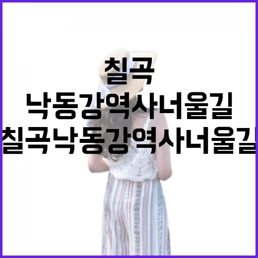 칠곡 낙동강 역사너울길의 매력