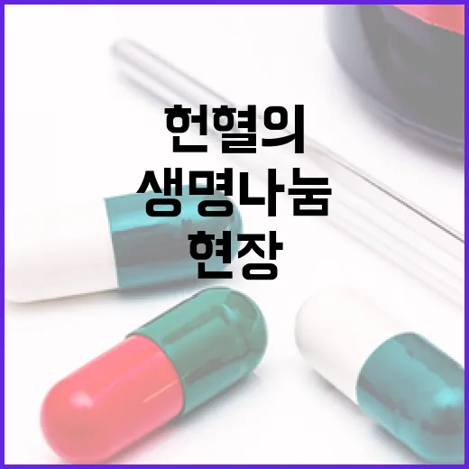 창원 헌혈의집, 생명 나눔의 현장