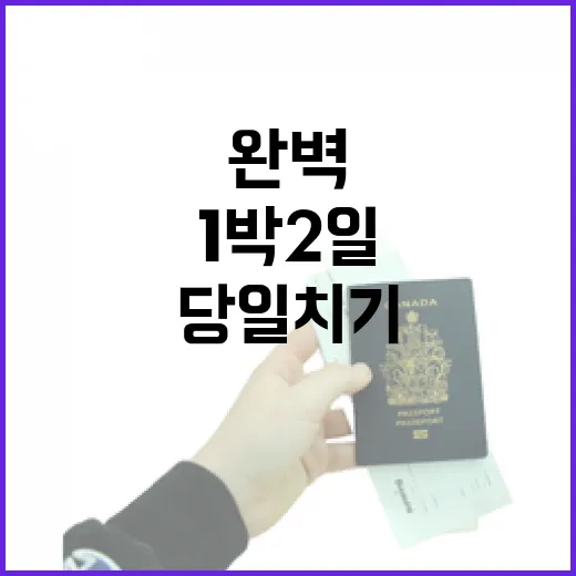 예산 여행, 1박2일과 당일치기 완벽 코스