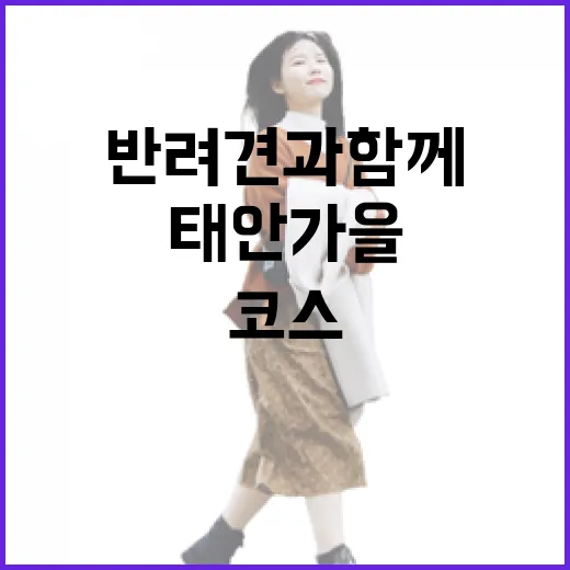 태안 가을, 반려견과 함께 걷는 힐링 코스