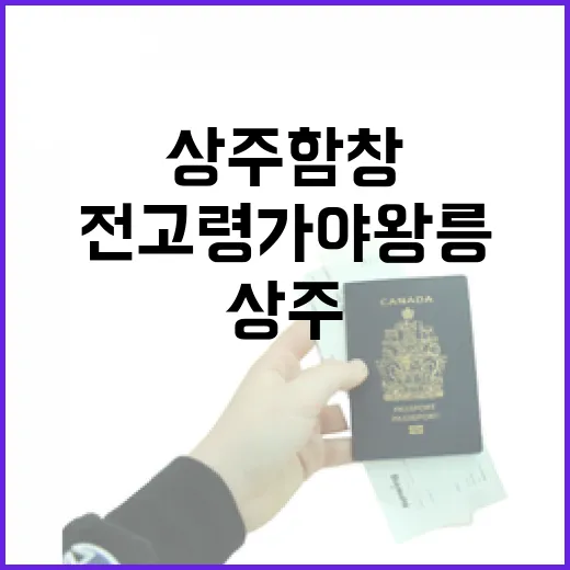 상주 함창 전고령가야왕릉 가을 명소