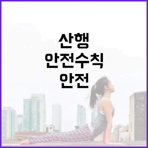 가을철 산행, 안전수칙으로 즐기자