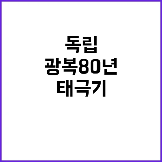 광복 80년, 태극기 속 독립의 염원