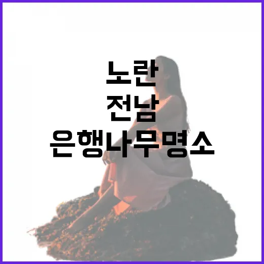 전남 가을, 노란 은행나무 명소 탐방