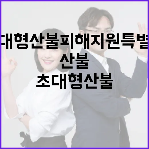 영남 초대형 산불 피해 지원 특별법 시행