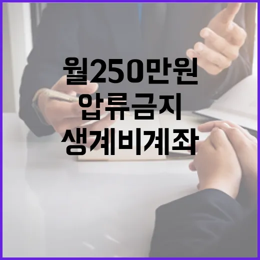 내년 2월 생계비계좌 도입, 월 250만 원 압류 금지