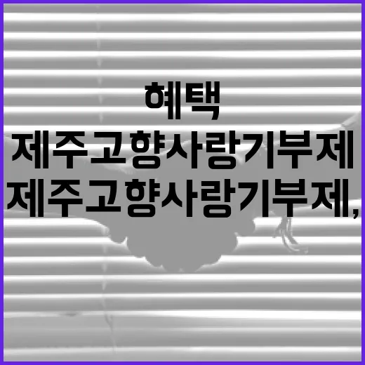 제주 고향사랑기부제, 마음과 혜택을 함께