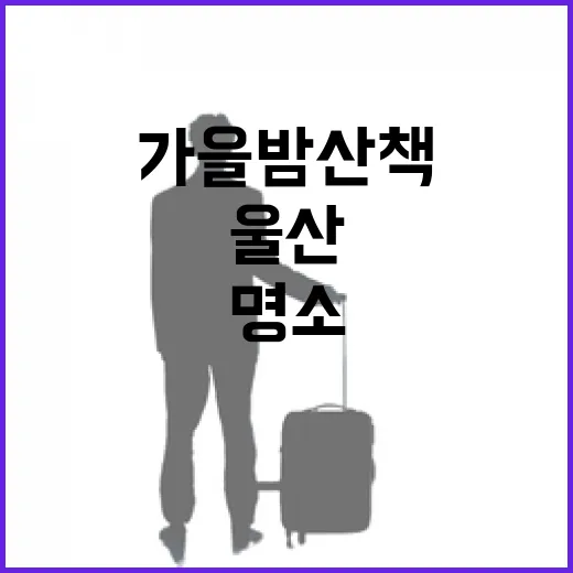 울산 가을밤 산책 명소 두 곳