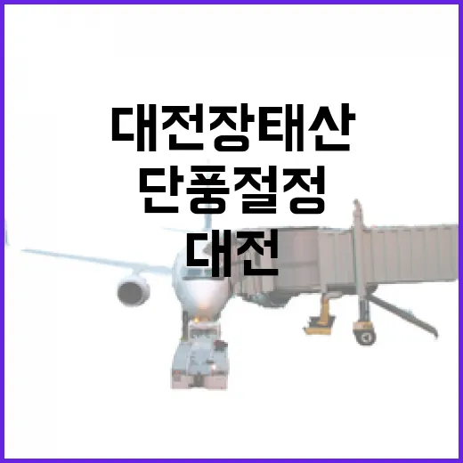 대전 장태산 단풍 절정 예고
