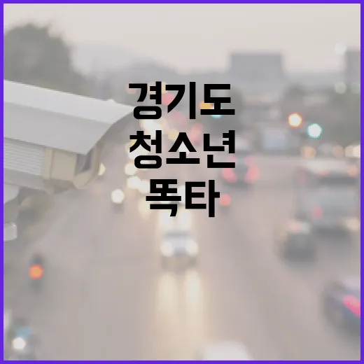 경기도 공유 자전거 똑타, 청소년 최대 6만 원 할인