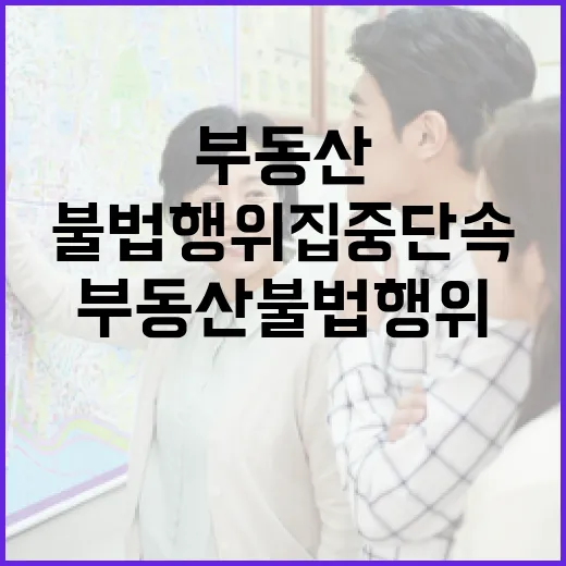 부동산 불법행위 집중 단속 확대