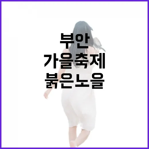 붉은노을과 와인의 가을 축제, 부안