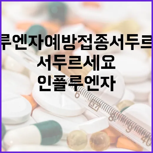 인플루엔자 예방접종 서두르세요