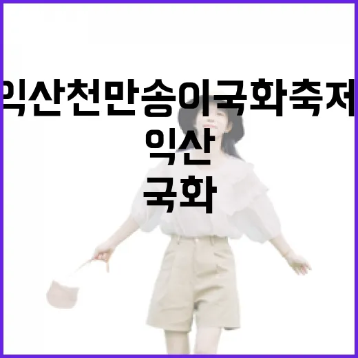 익산 천만송이 국화축제, 가을밤 빛으로 물들다