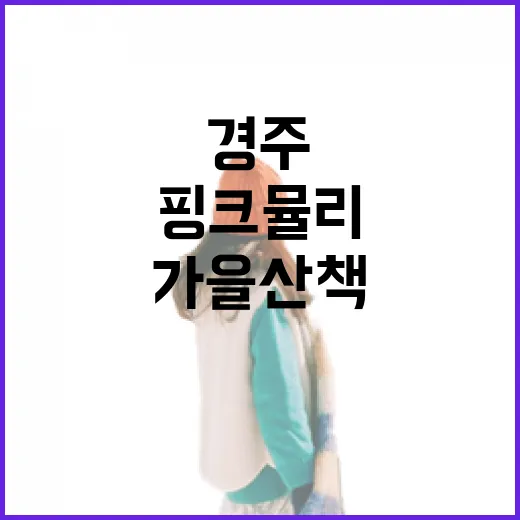경주 핑크뮬리 명소 가을 산책