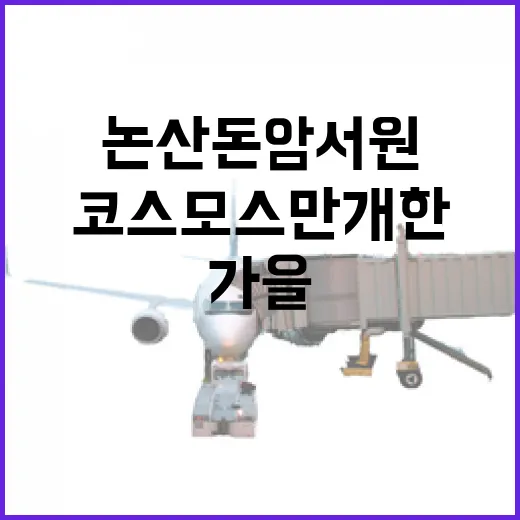 논산 돈암서원, 가을 코스모스 만개한 풍경