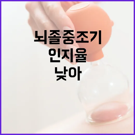 뇌졸중 조기 인지율 낮아 예방수칙 실천 절실