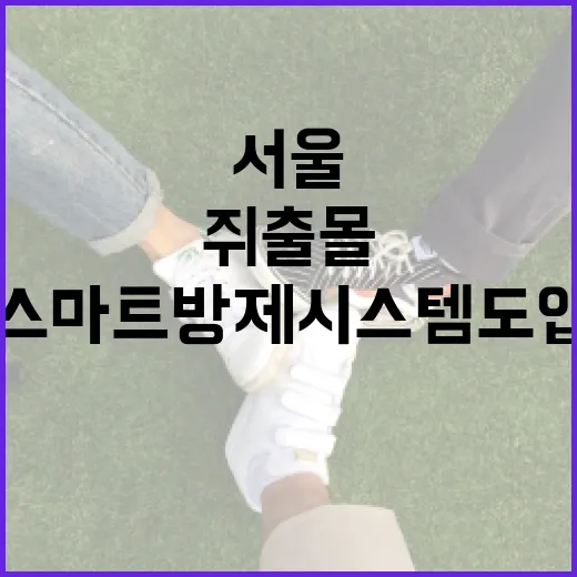 서울 스마트 방제 시스템 도입, 쥐 출몰 즉시 대응