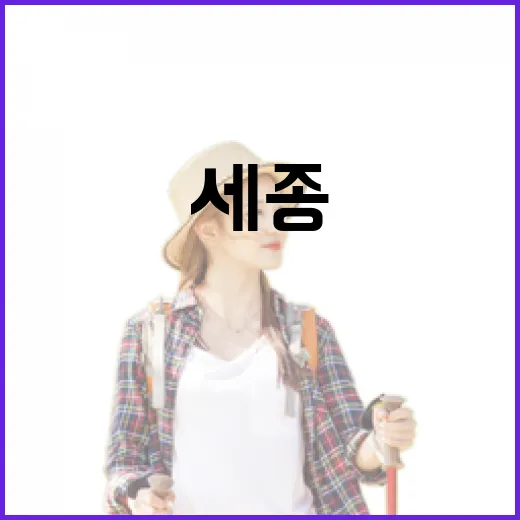 세종 나성 꽃밭 코스모스 향연 개막