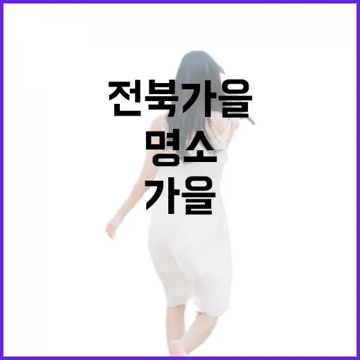 전북 가을 꽃길 산책 명소 3선