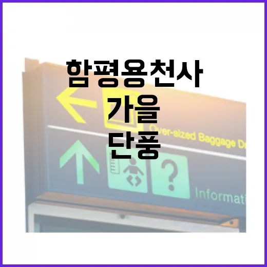 함평 용천사 숲, 가을 단풍 절정 예고