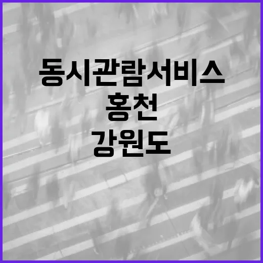 강원도 첫 동시관람 서비스 홍천서 시작
