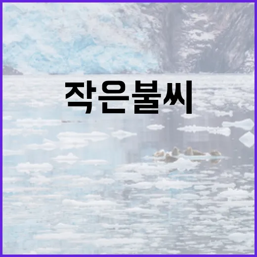 가을철 산불예방, 작은 불씨가 큰 피해로