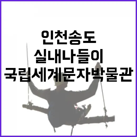 인천 송도 국립세계문자박물관 겨울 실내 나들이 명소