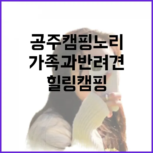 가족과 반려견 힐링 캠핑지 공주 캠핑노리