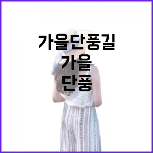 전남 가을 단풍길 6선, 가을 정취 만끽하세요