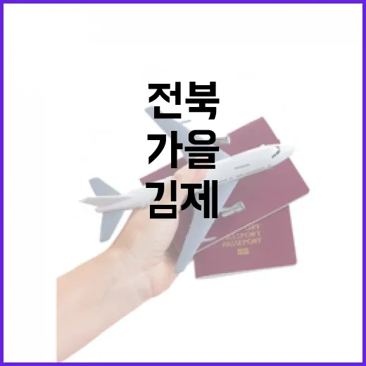 전북 김제 가을 명소 메타세콰이어길 산책