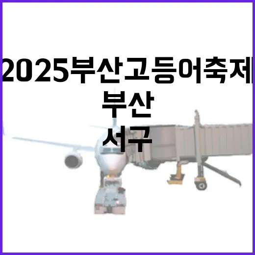 2025 부산고등어축제와 서구 맛집 탐방
