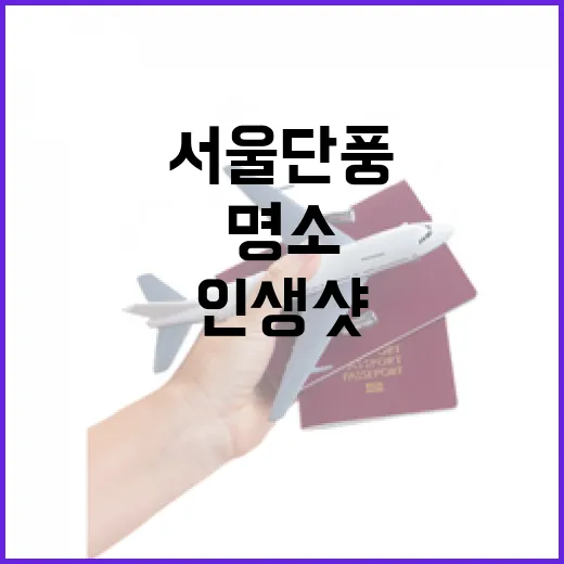 서울 단풍길 110선, 가을 인생샷 명소