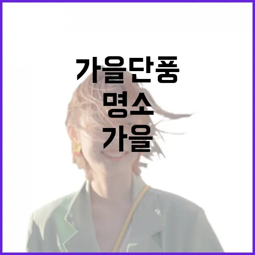 충남 가을 단풍 명소 총집합