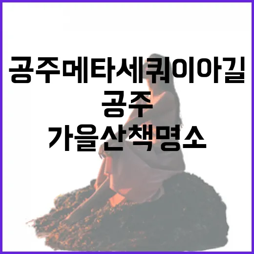 공주 메타세쿼이아길, 가을 산책 명소로 주목